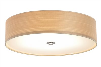 WHITE ANEGRE 吸頂燈