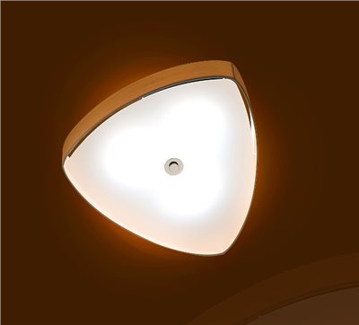 白栓木 橢三角型吸頂燈 