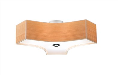 曲面造型 吸頂燈  