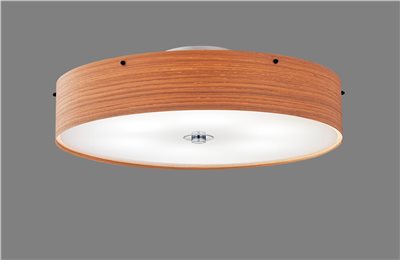 EX-1008DN-6 安麗格原木皮吸頂燈